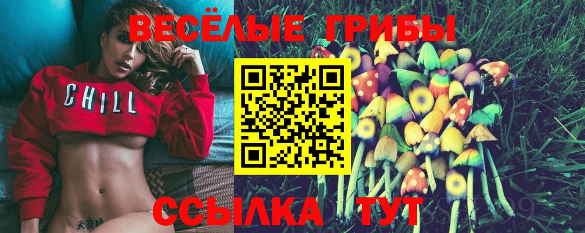 Каменка  Псилоцибиновые грибы мицелий  Галлюциногенные грибы MAGIC MUSHROOMS  Вход с VPN 